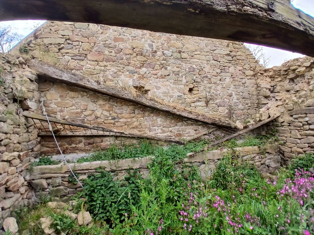 la végétation un éternel recomencement