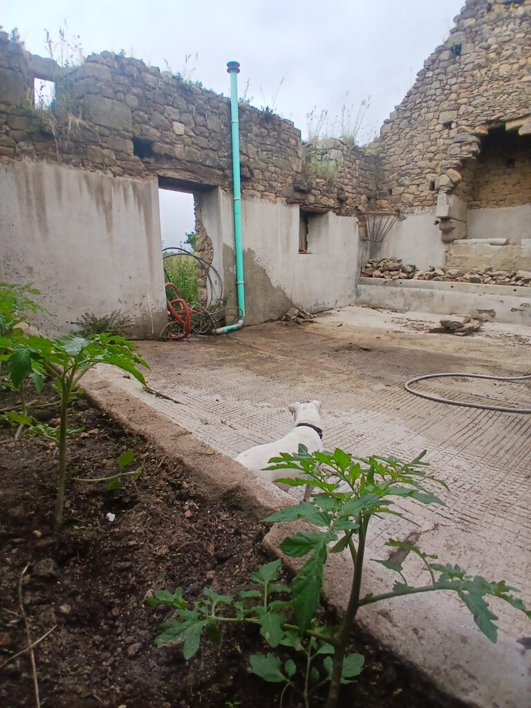 Intérieur du manoir