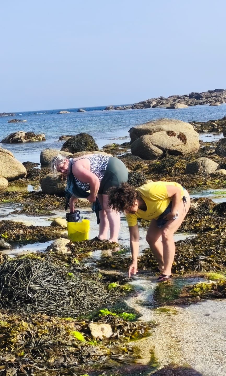 Cueillir et cuisiner les algues en Bretagne : expérience, bienfaits et recette de tartare🌊 Une expérience à vivre à marée basse