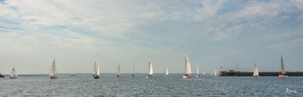 Fleet of sailboats in Brest Harbor