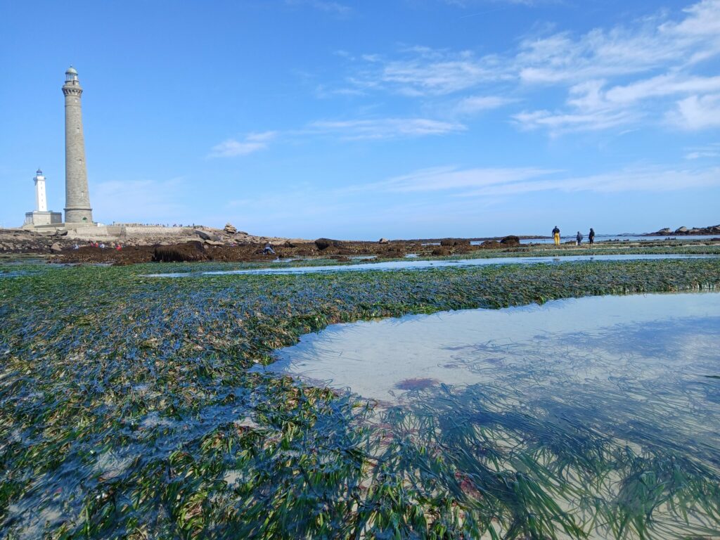Phénomène de marées, la mer part faire un petit tour bretagne plage