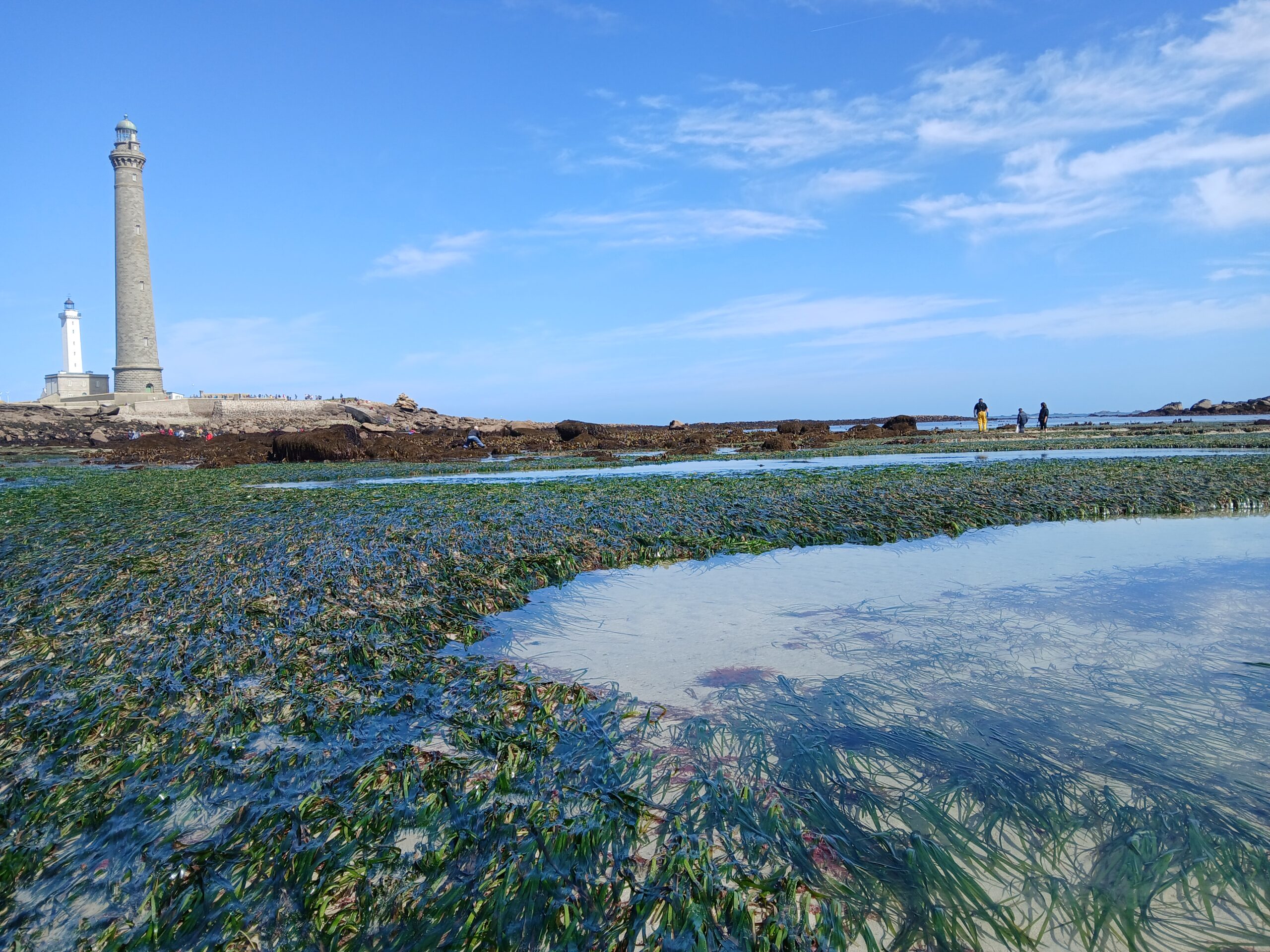» Mais… elle est où la mer ? » Le jour où les touristes découvrent les marées en Bretagne